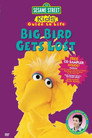 شارع سمسم: دليل الطفل للحياة: يضيع الطائر الكبير